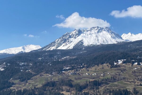 IMG_7943